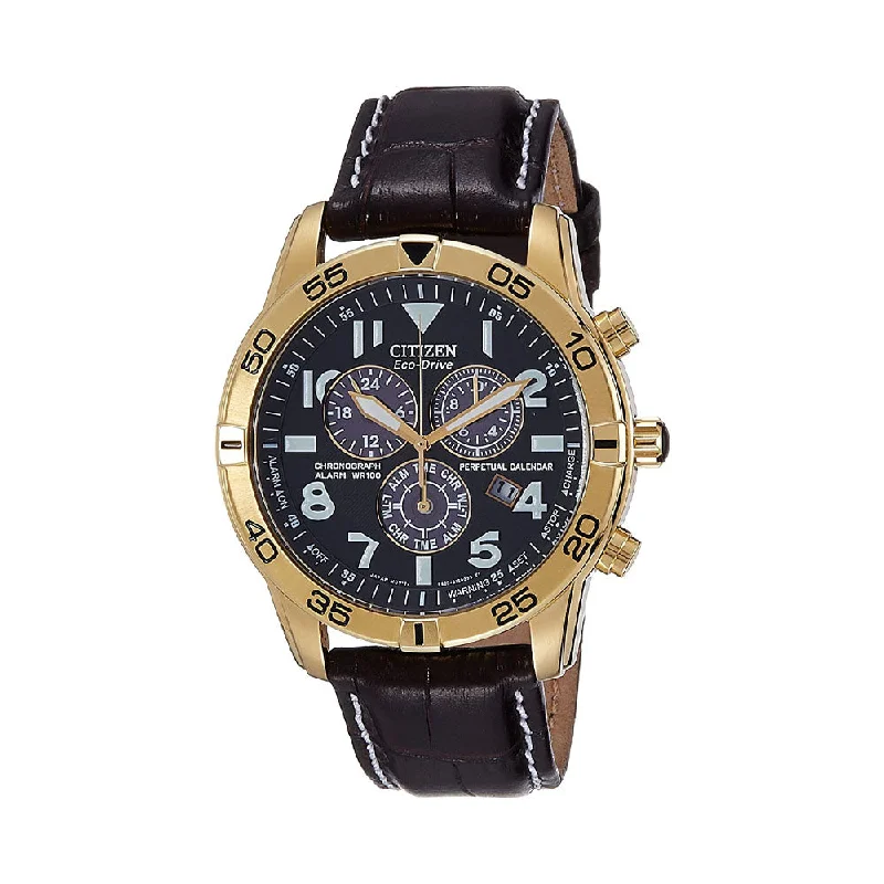 women’s hybrid watches with health tracking and classic look-Citizen Eco-Drive Perpetual Calendar Men's Watch - BL5472-01E